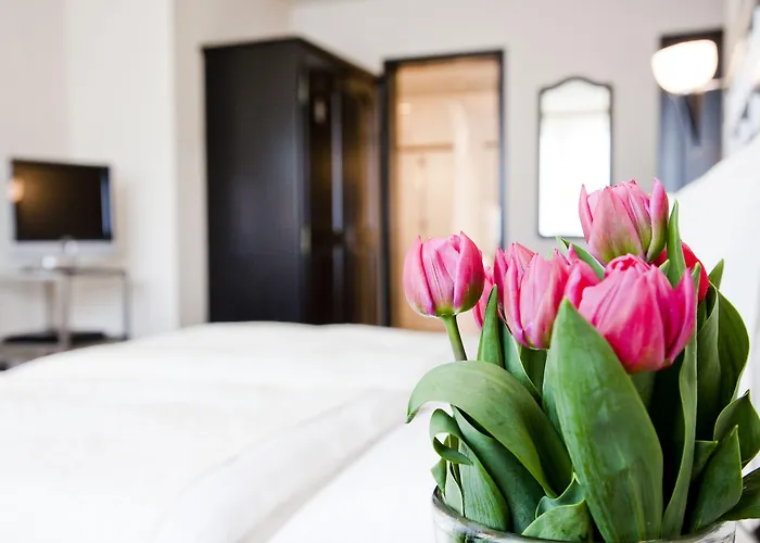 Tailormade Metropol St Gallen Hotel 4*